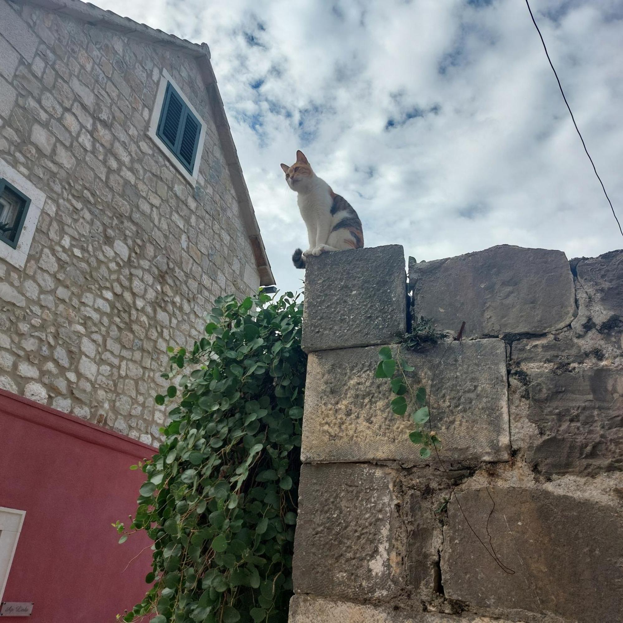 San Marco Makarska 아파트 객실 사진